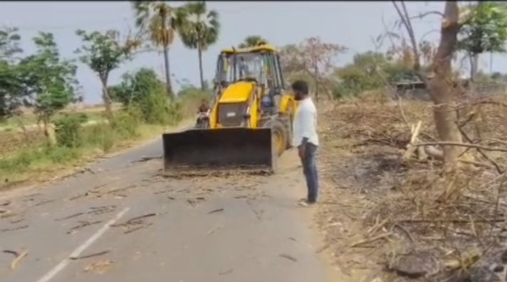 ఈదురు గాలులకు నెలకొరిగిన వృక్షాన్ని తొలగించిన గ్రామపంచాయతీ