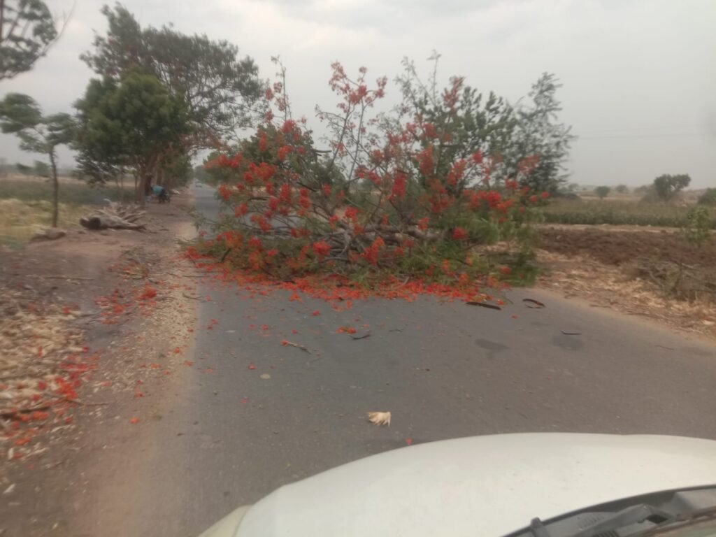 ఈదురు గాలులకు రహదారిపై కూలిన భారీ వృక్షం