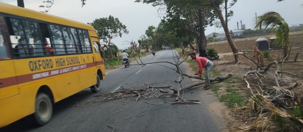 చెట్టు కొమ్మలు తొలగించిన రిపోర్టర్
