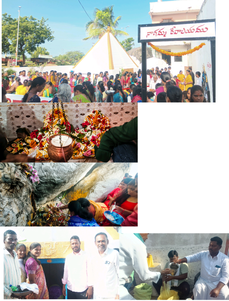 మెండోరా మండల కేంద్రంలో ఘనంగా నాగుల పంచమి